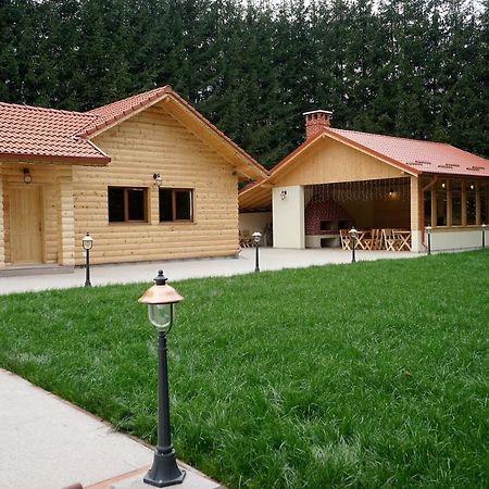 Pensiunea Floarea De Colt Nucsoara  Luaran gambar